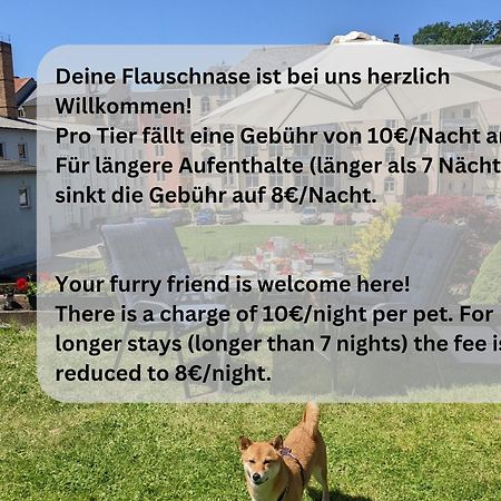 F4 - Urlaubsmagie - Grosse Wohnung Fuer Bis Zu 10 Personen Sebnitz Ngoại thất bức ảnh